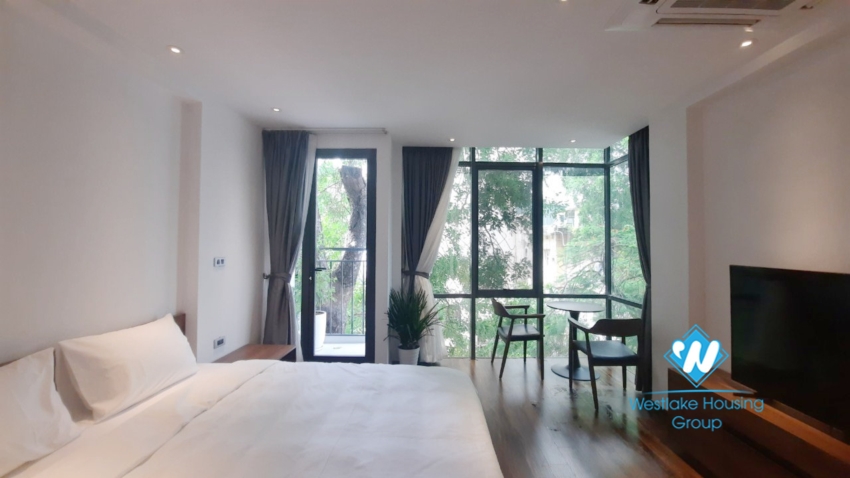 New bright and airy two-bedroom apartment for rent in Bui Thi Xuan